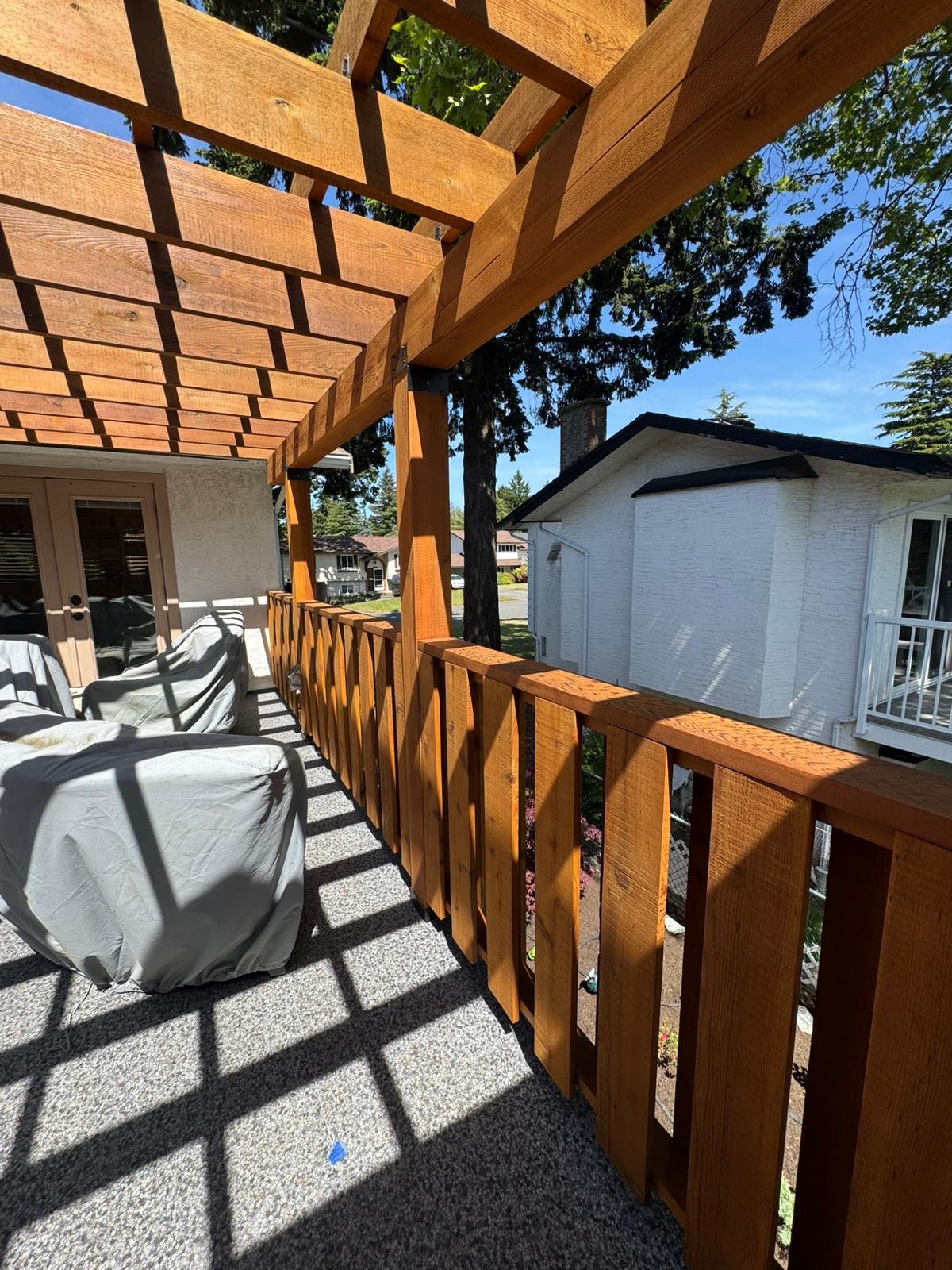 Staining Project 5